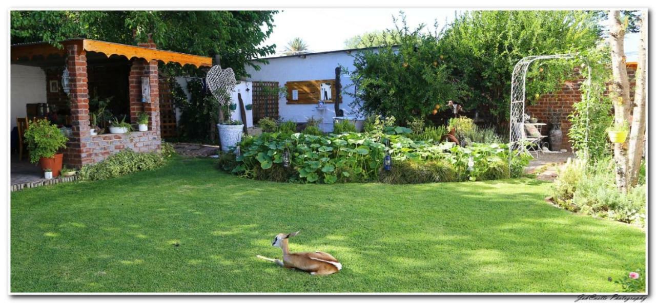 Tortelduif Cottage Offthegrid Middelburg  Exterior foto