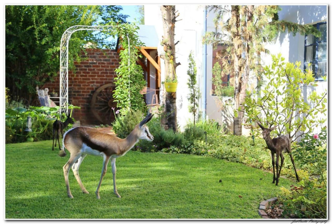 Tortelduif Cottage Offthegrid Middelburg  Exterior foto