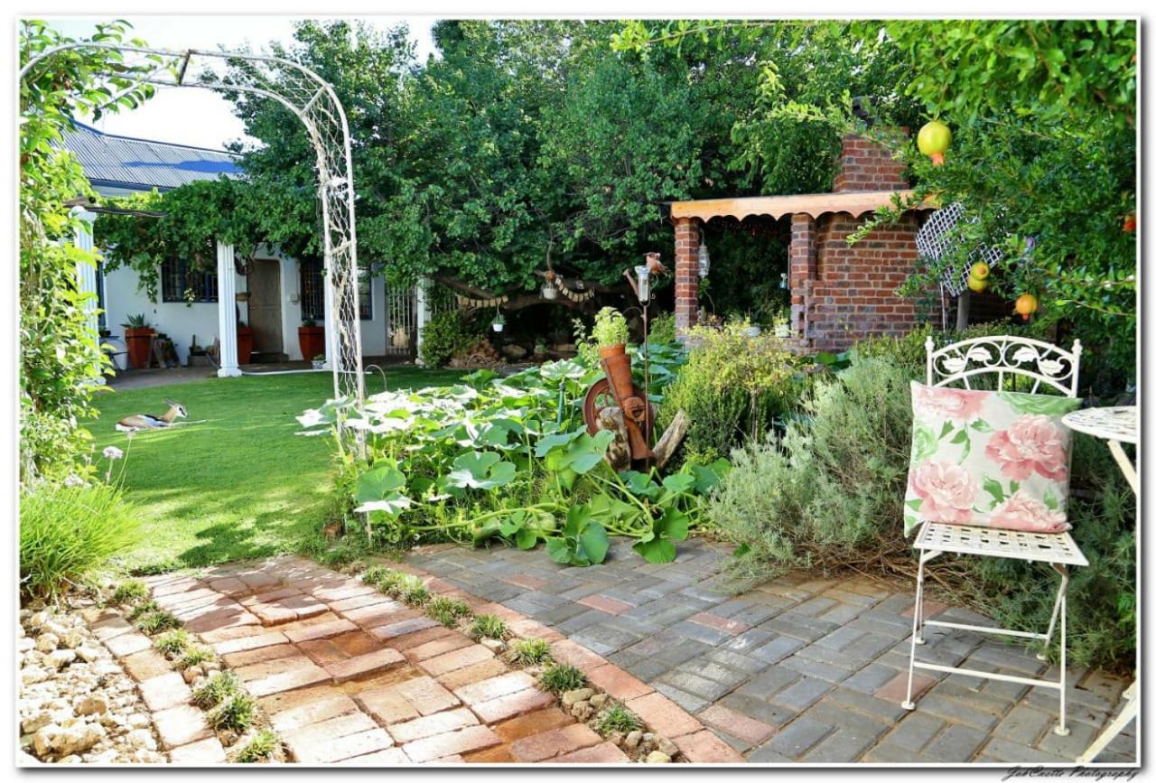 Tortelduif Cottage Offthegrid Middelburg  Exterior foto