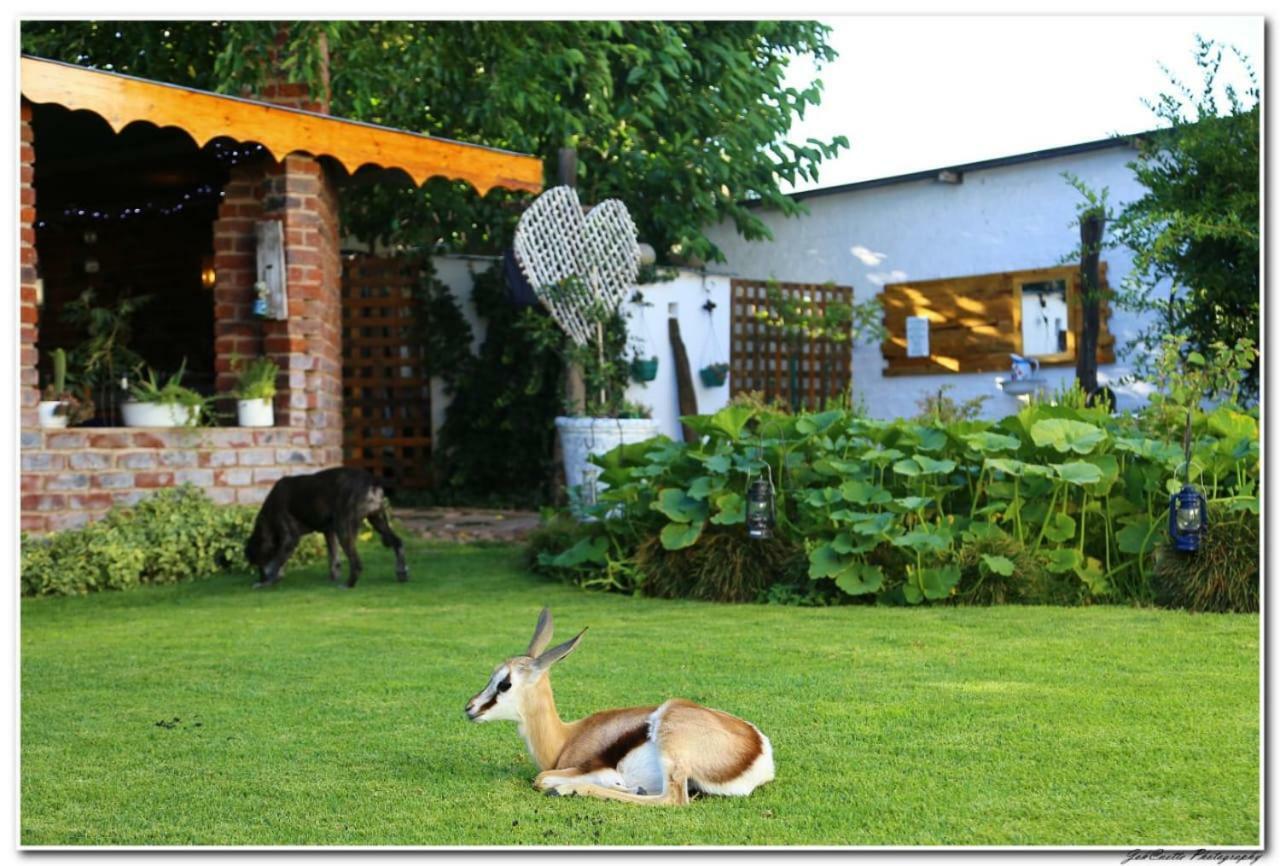 Tortelduif Cottage Offthegrid Middelburg  Exterior foto
